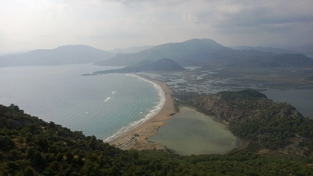 Iztuzu Plaji Caretta